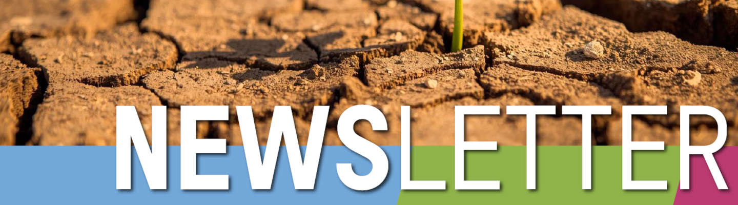 Titelbild des Newsletters: ein Sprössling aus vor Trockenheit aufgeplatztem Boden