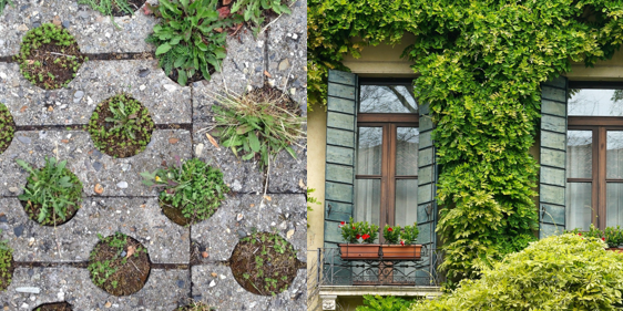 Exemplarische Beispiele für Klimaanpassung zuhause: Regentonne, Versickerungsfähiger Bodenbelag, Fassadenbegrünung, Sonnenschutz am Fenster