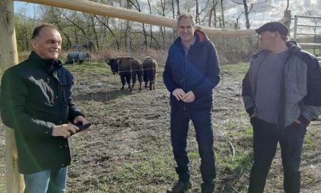 Bild: Landrat Dr. Fritz Brechtel, Landrat Dietmar Seefeldt und Landwirt Thomas Kieffer (von links nach rechts) bei der Ankunft der zwei Bisons im Viehstrich.